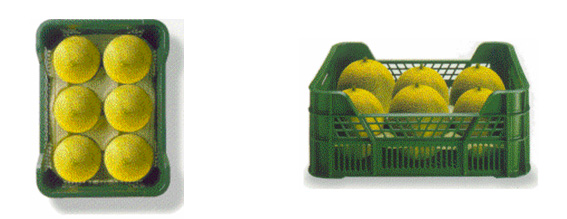 Envasado del melón Envasado del melón