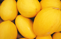 Melón amarillo