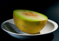 Melón galia