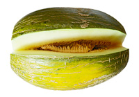 Melón negro