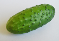 Pepino español