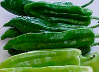 Pimiento Italiano