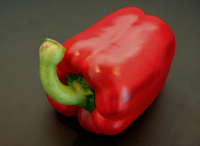 Pimiento Lamuyo