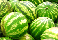 Sandia