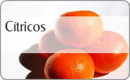 Mandarinas