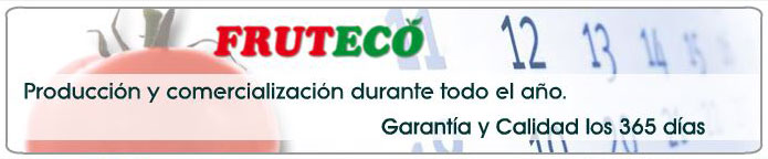 Hortalizas y Verduras