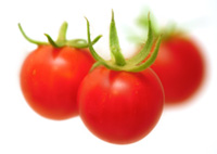 Tomate Cherry