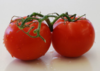Tomate Larga Vida