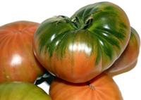 Tomate Raf