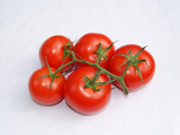 Tomate racimo
